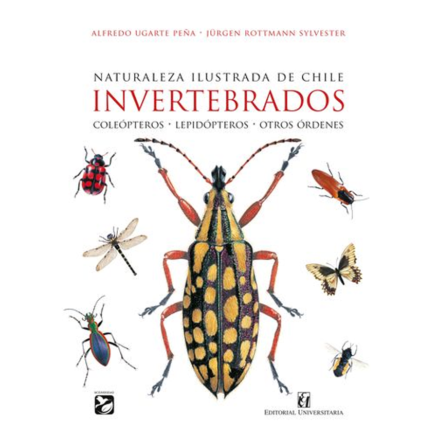 Naturaleza Ilustrada De Chile Invertebrados 1