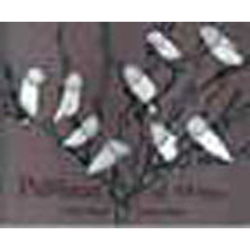 Palabras Al Viento 1