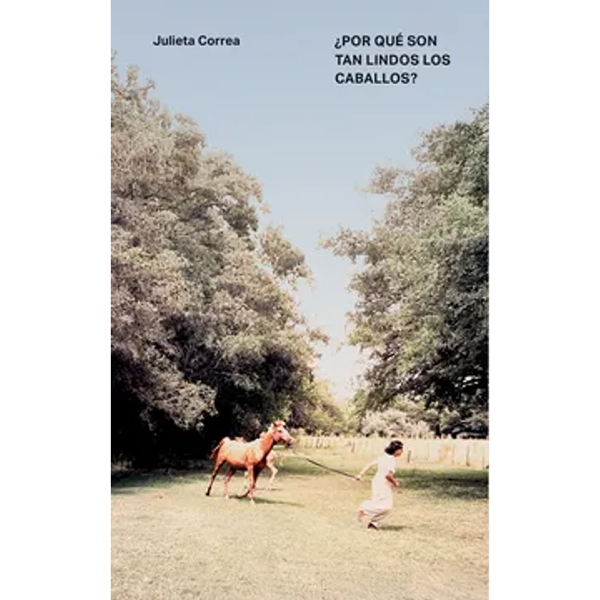 Por Que Son Tan Lindos Los Caballos 1