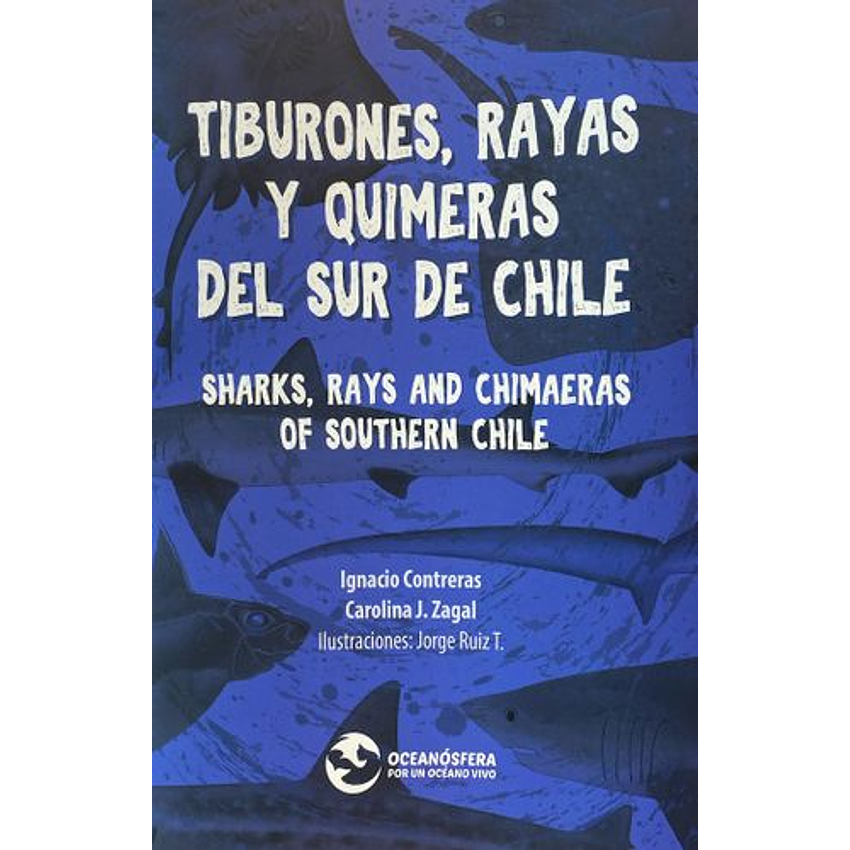 Tiburones Rayas Y Quimeras Del Sur De Chile 1