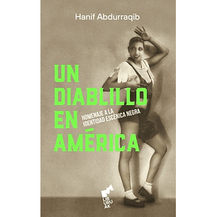 Un Diablillo En America