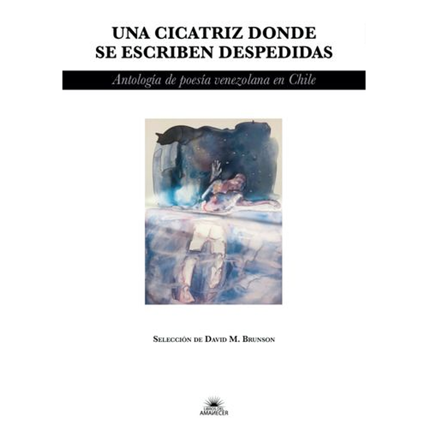 Una Cicatriz Donde Se Escriben Despedidas 1