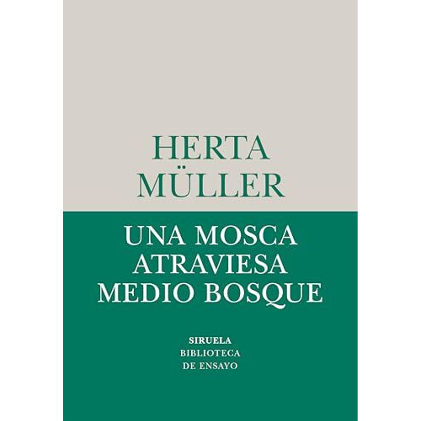 Una Mosca Atraviesa Medio Bosque 1