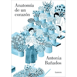 Anatomia De Un Corazon