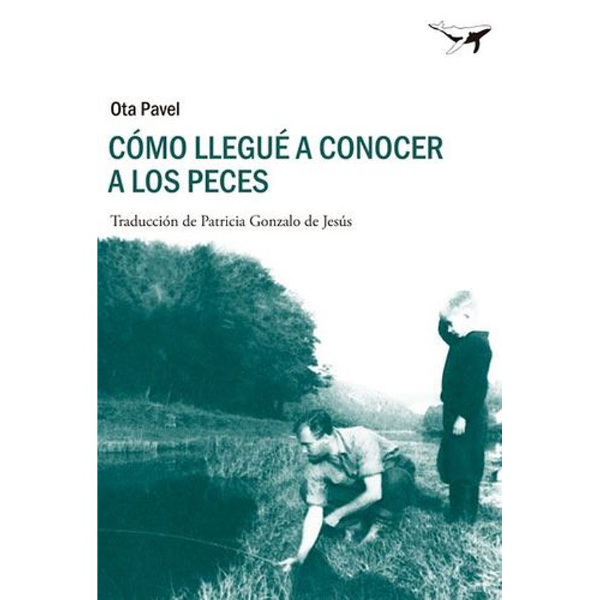 Como Llegue A Conocer A Los Peces 1