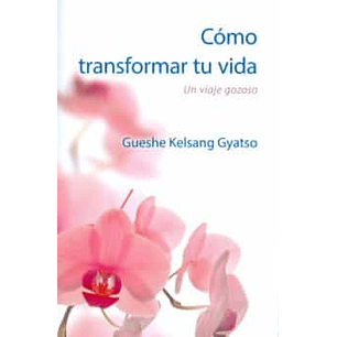 Como Transformar Tu Vida