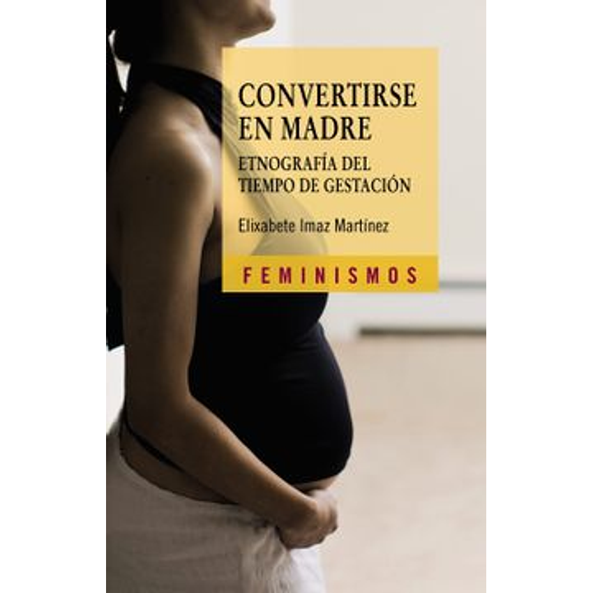 Convertirse En Madre Etnografia Del Tiempo De Gestacion 1