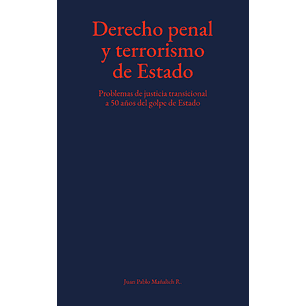 Derecho Penal Y Terrorismo De Estado