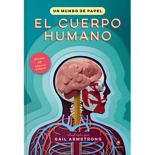 El Cuerpo Humano Un Mundo De Papel