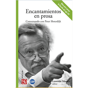 Encantamientos En Prosa