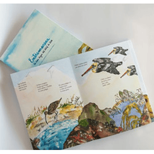 Entremareas La Cueca Larga Del Litoral De Chile