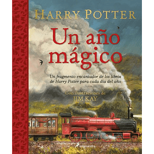 Harry Potter: Un Año Magico