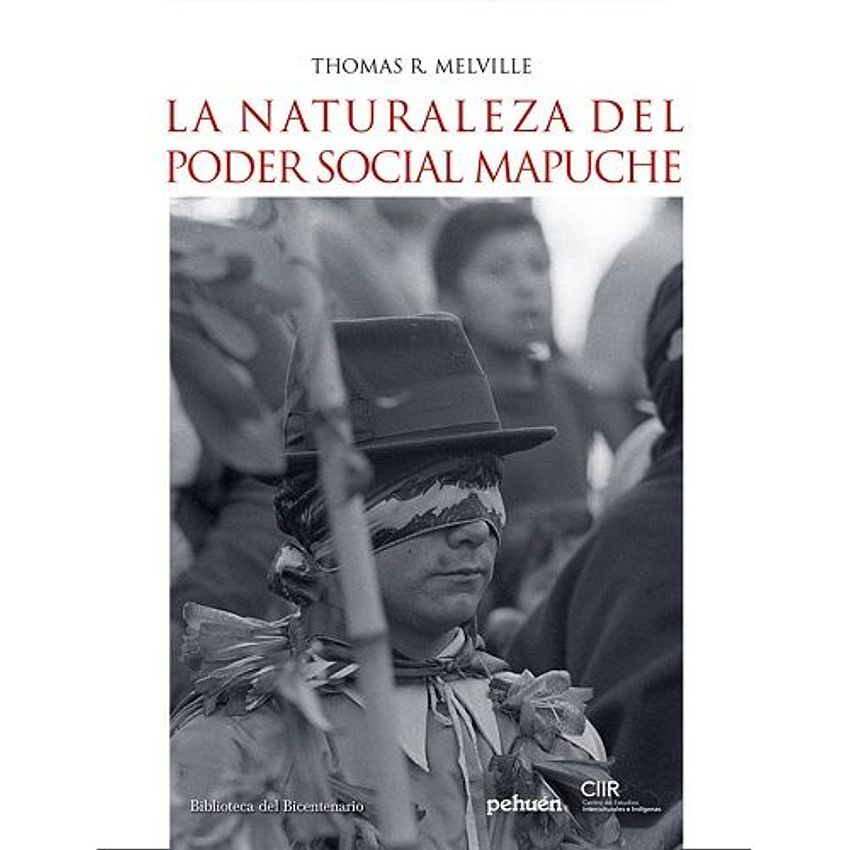 La Naturaleza Del Poder Social Mapuche 1