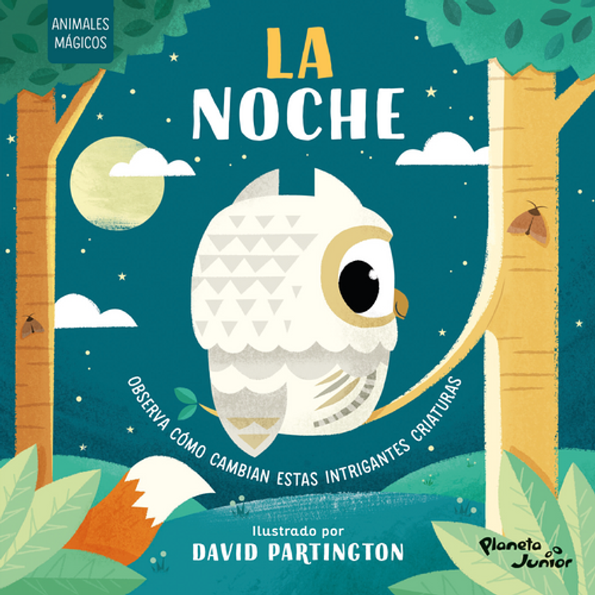 La Noche Animales Magicos 1