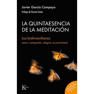 La Quintaesencia De La Meditacion