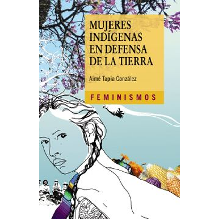 Mujeres Indigenas En Defensa De La Tierra 1