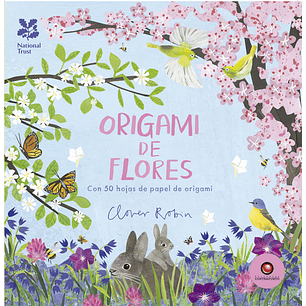 Origami De Flores