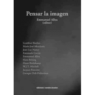 Pensar La Imagen