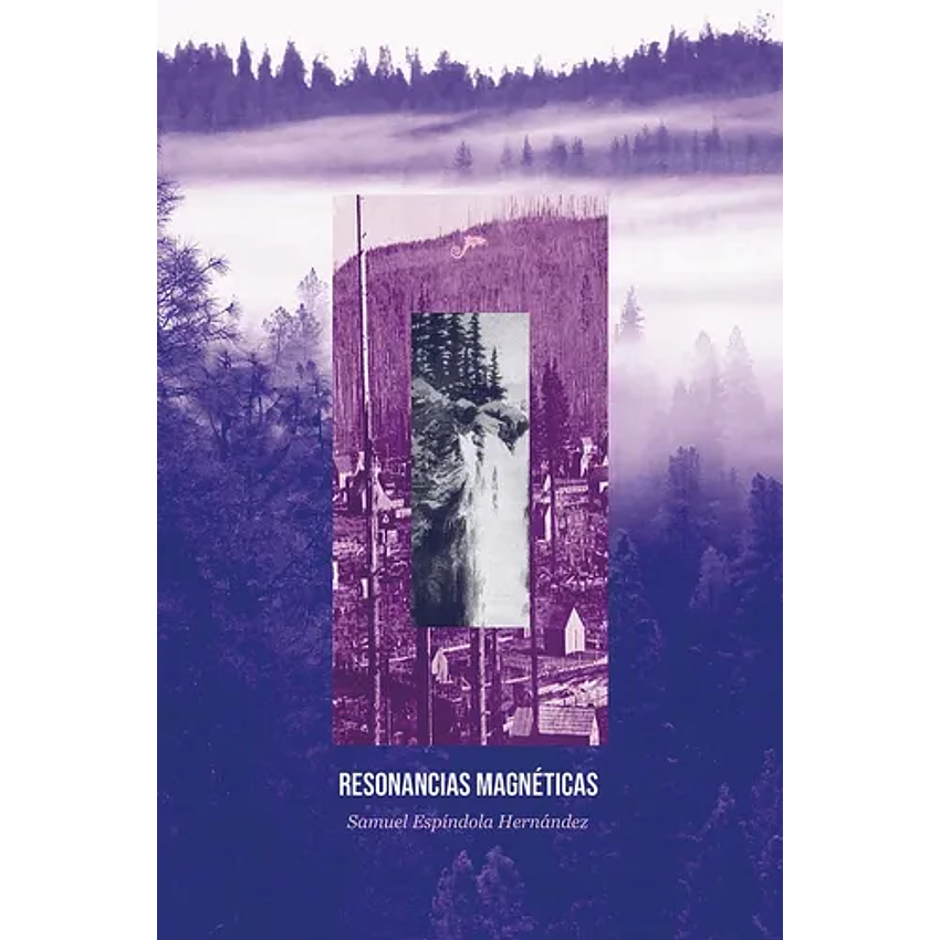 Resonancias Magneticas 1