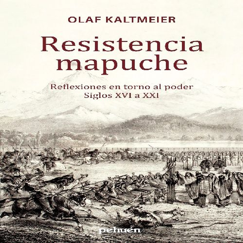 Resistencia Mapuche 1