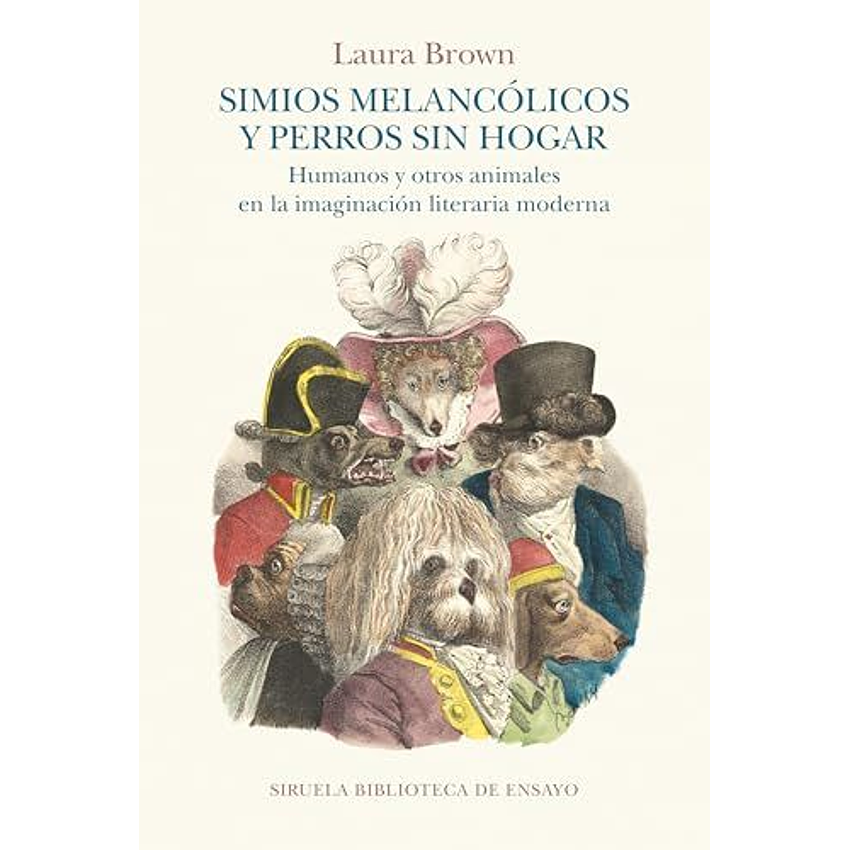 Simios Melancolicos Y Perros Sin Hogar 1