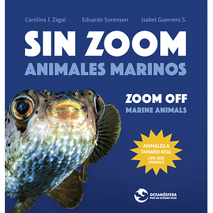 Sin Zoom Animales Marinos