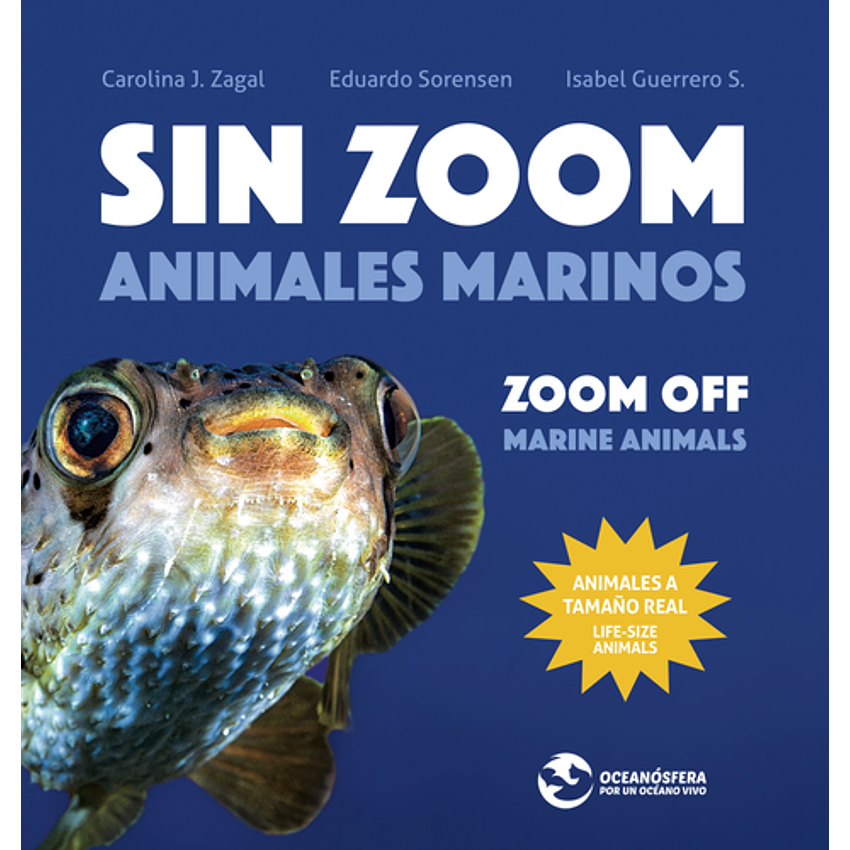 Sin Zoom Animales Marinos 1