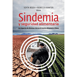 Sindemia