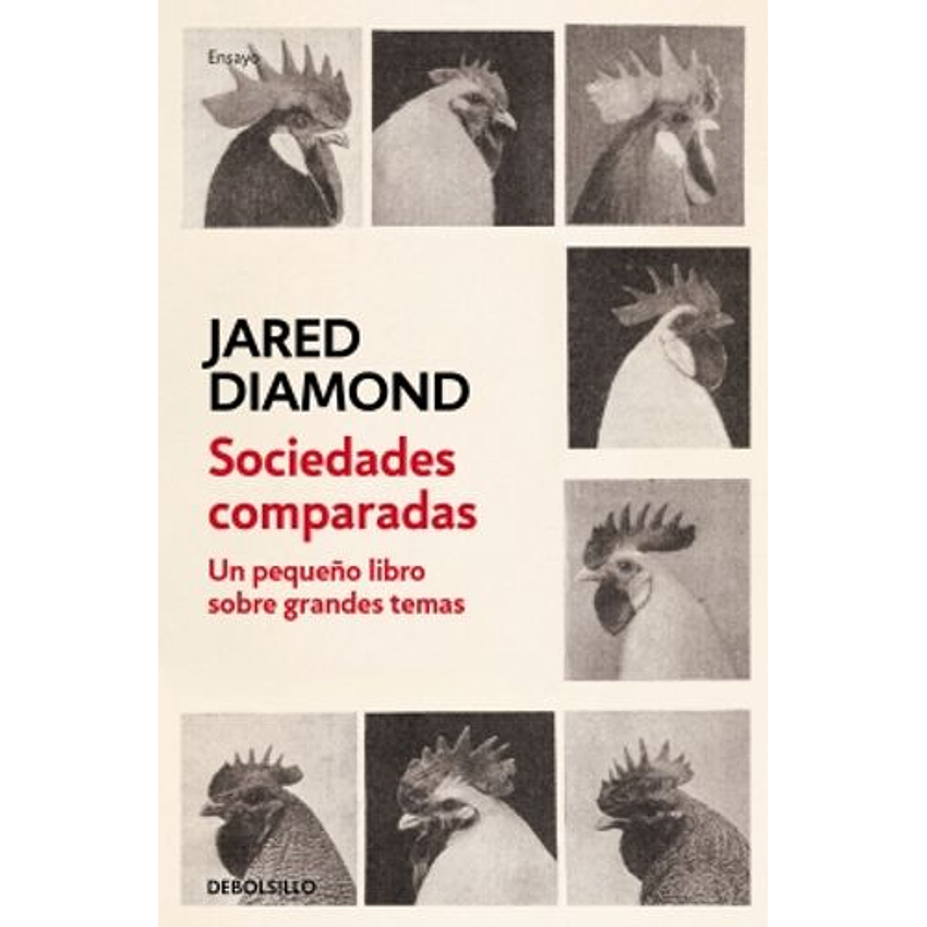 Sociedades Comparadas 1