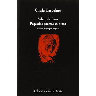Spleen De Paris Pequeños Poemas En Prosa
