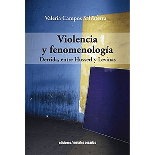 Violencia Y Fenomenologia