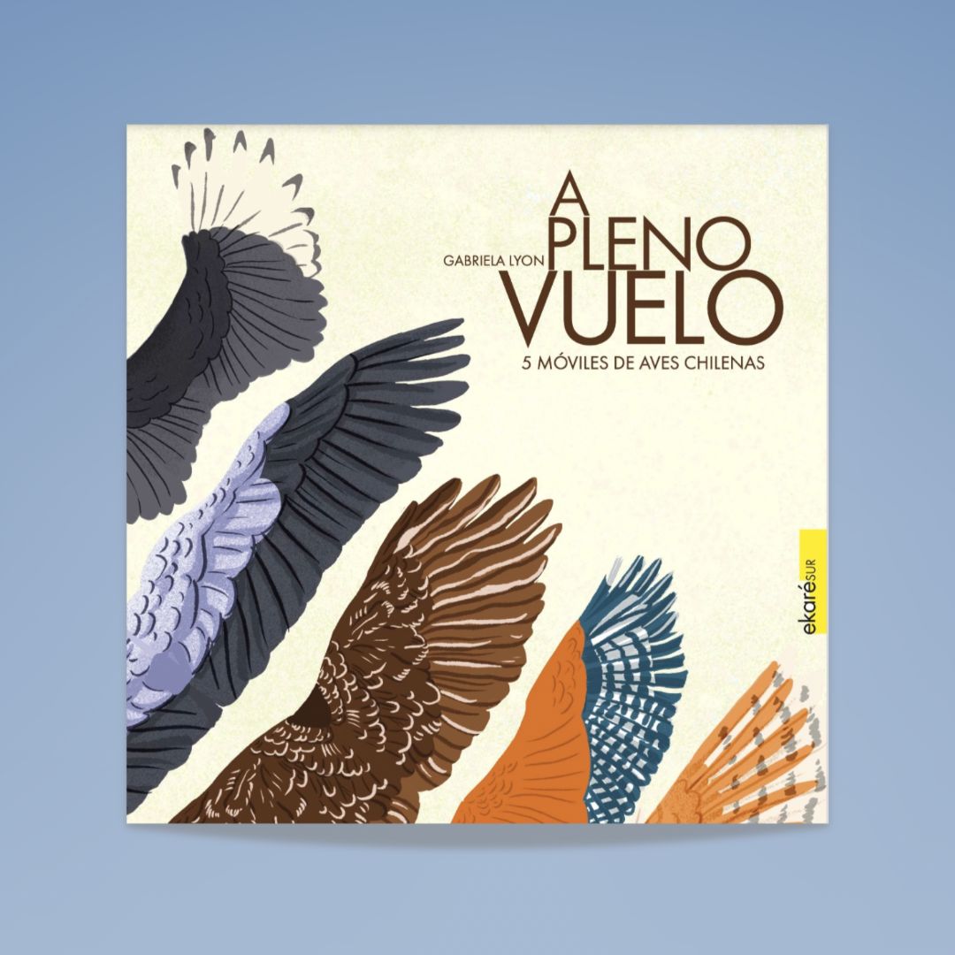 A Pleno Vuelo