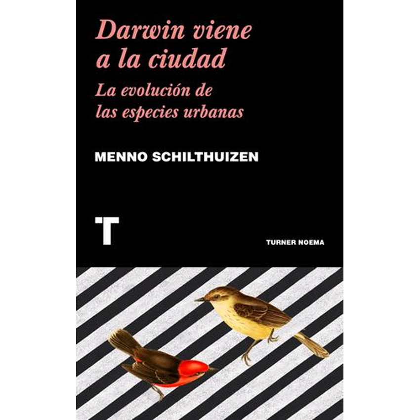 Darwin Viene A La Ciudad 1