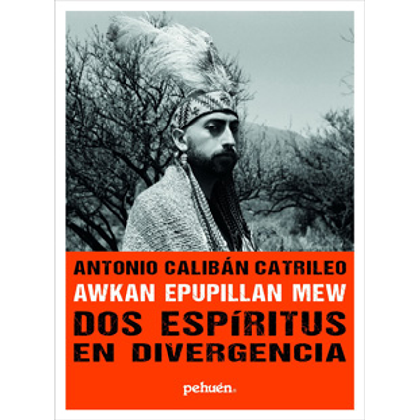 Dos Espiritus En Divergencia 1