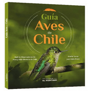 Guia Aves De Chile