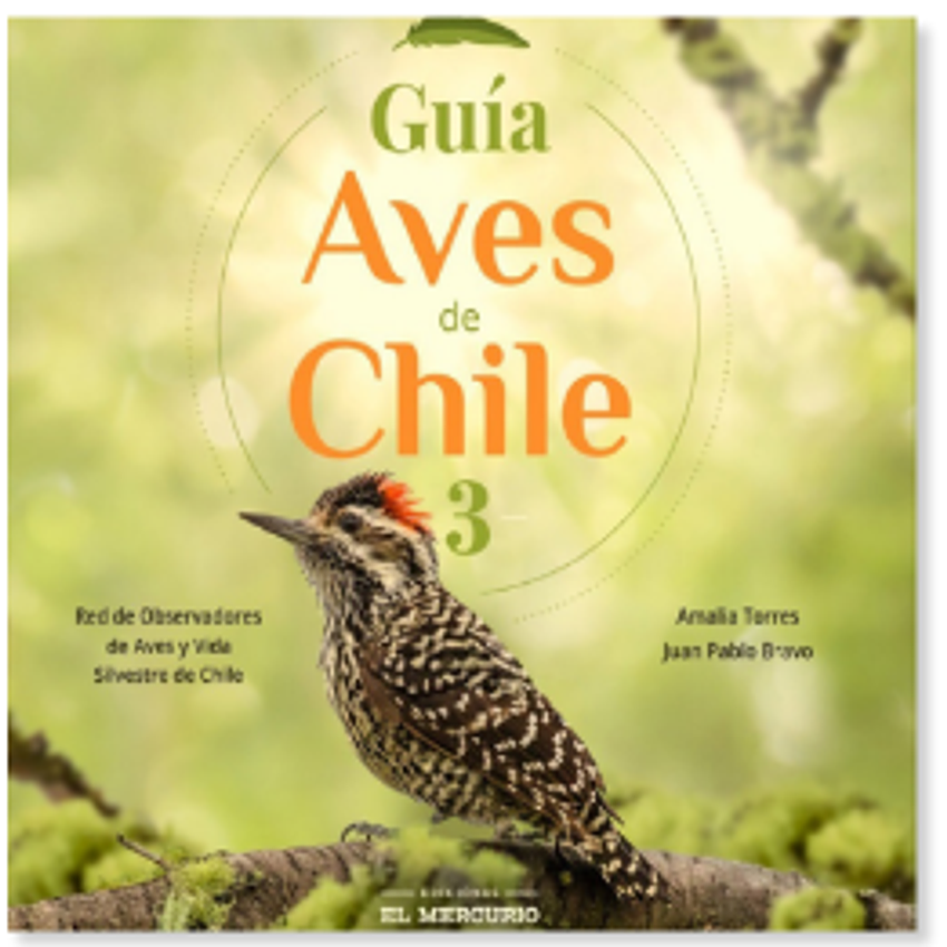 Guia Aves De Chile 3 1