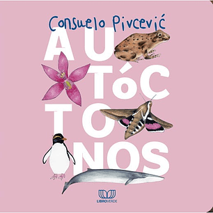 Los Colores De La Patagonia