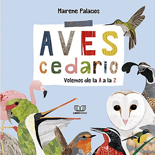 Los Colores Del Desierto