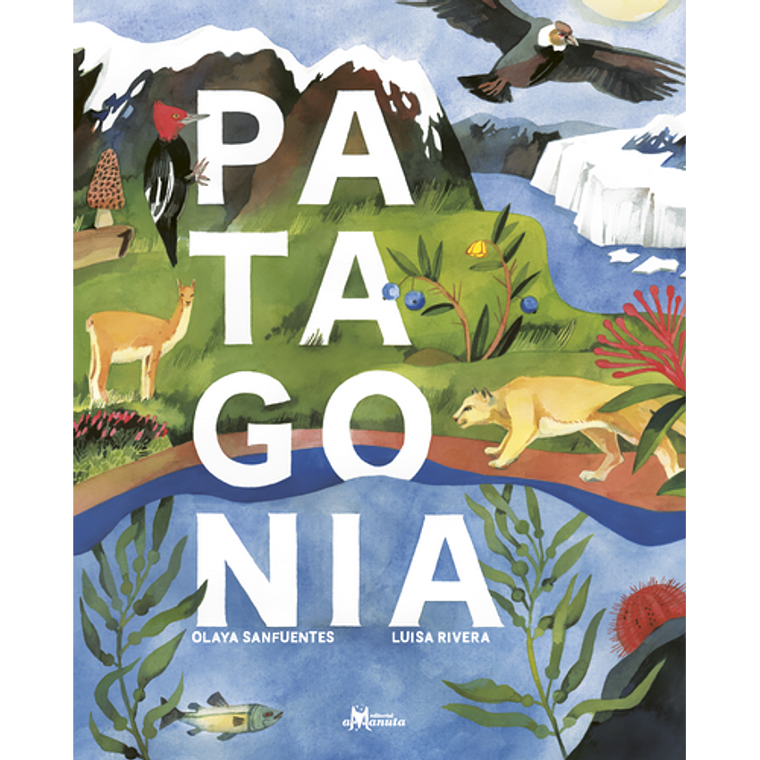 Patagonia 1