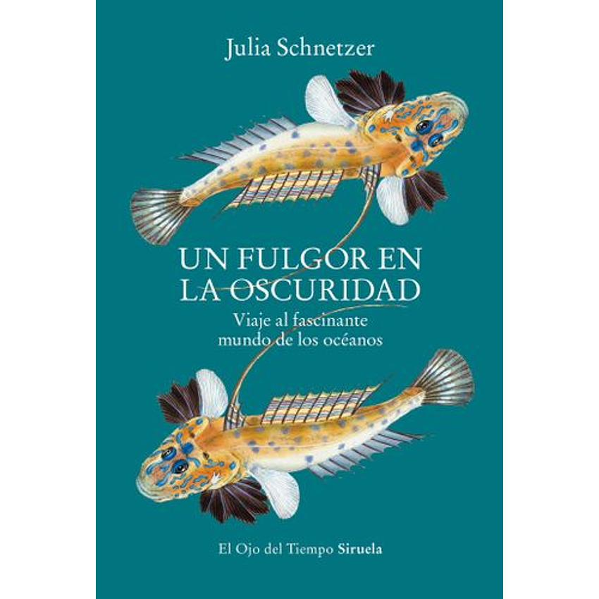 Un Fulgor En La Oscuridad 1