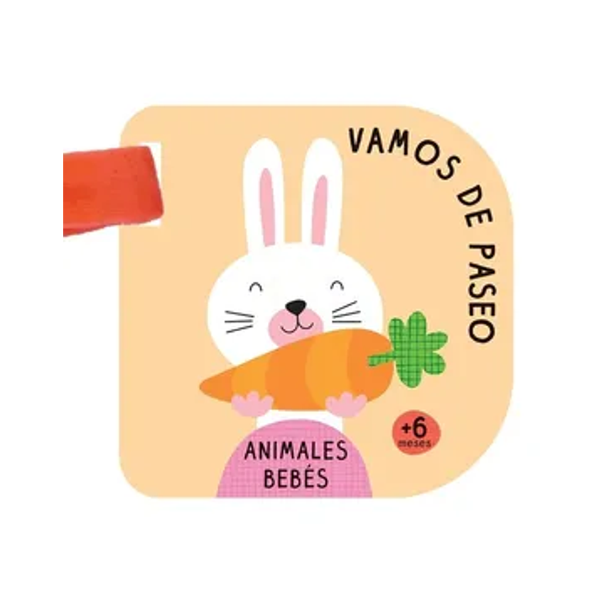 Vamos De Paseo - Animales 1