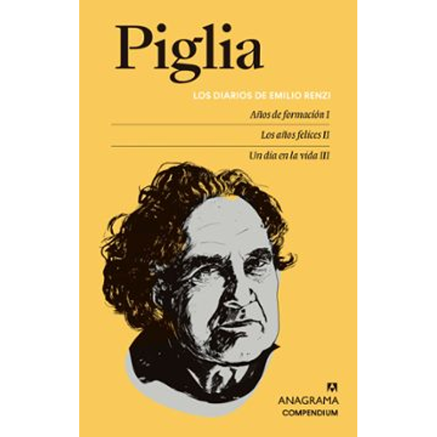 Los Diarios De Emilio Renzi 1
