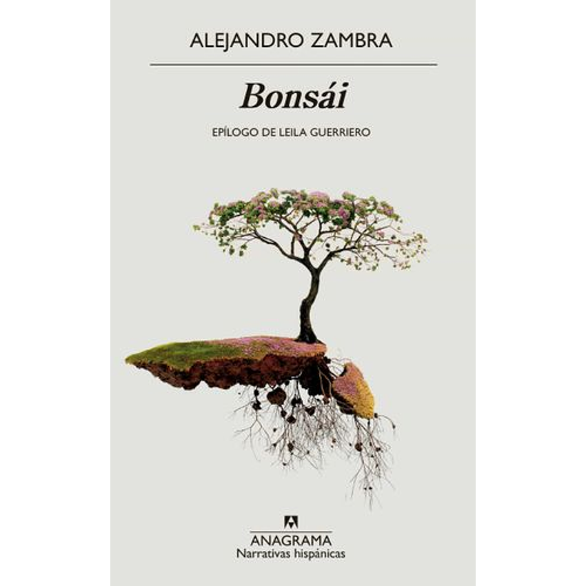 Bonsai 1