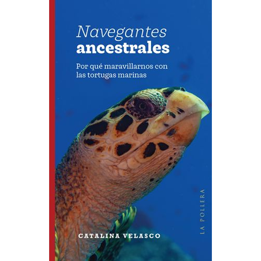 Navegantes Ancestrales 1