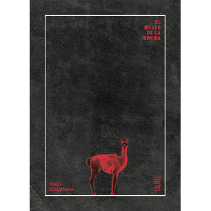 El Museo De La Bruma