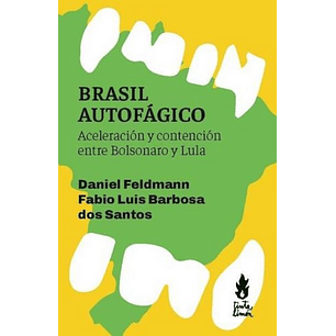 Brasil Autofagico Aceleracion Y Contencion Entre Bolsonaro Y Lula