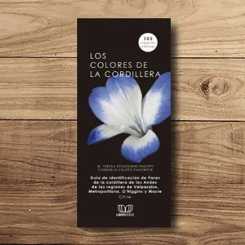 Los Colores De La Cordillera 1