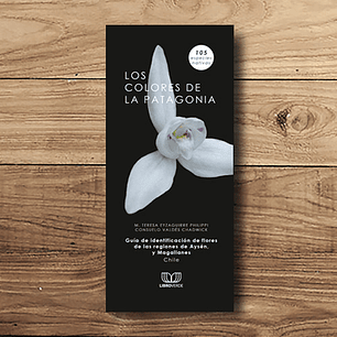 Los Colores De La Patagonia