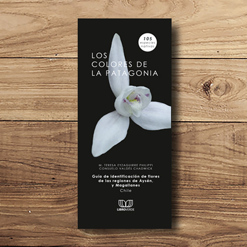 Los Colores De La Patagonia 1