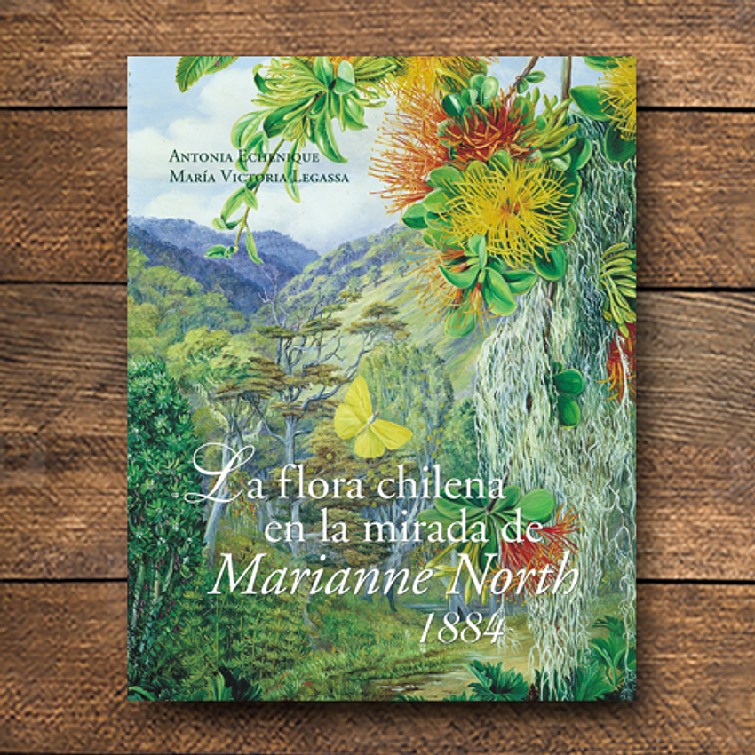 La Flora Chilena En La Mirada De Marianne North 1884 1
